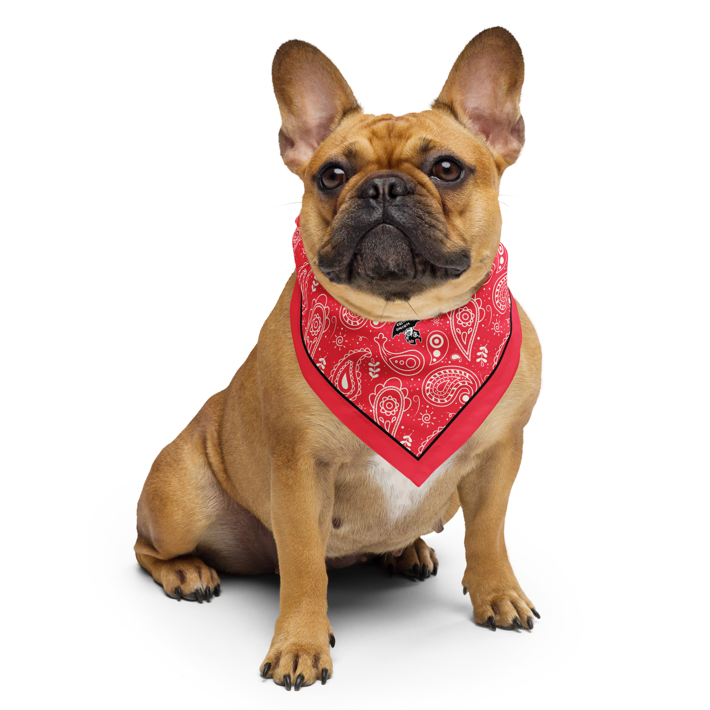 Umbrella Man Red Bandana