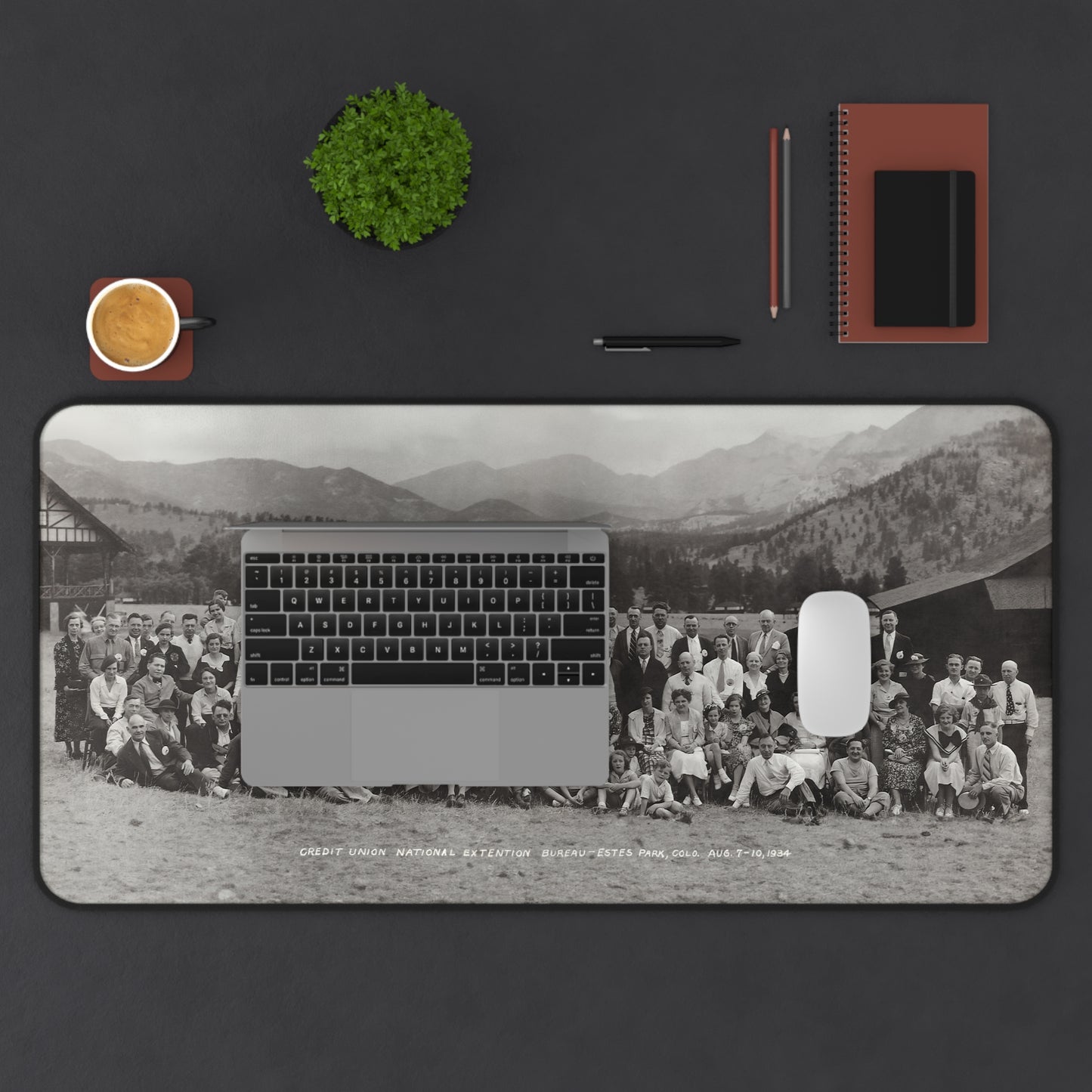 Estes Park Desk Mat