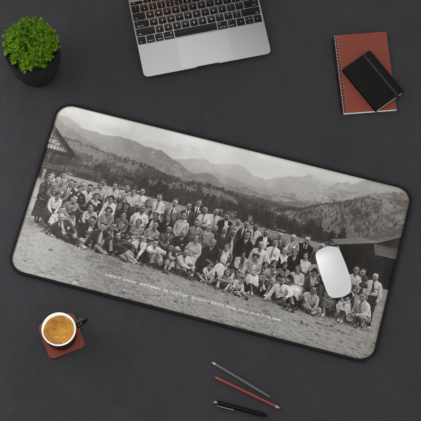 Estes Park Desk Mat